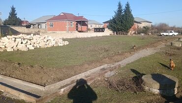 xacmazda findiq bagi satilir: 8 sot, Tikinti, Kupça (Çıxarış)