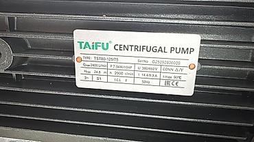 s1: Центробежный насос TAIFU TST80-125/75 - Тип: центробежный, фланцевое — 2