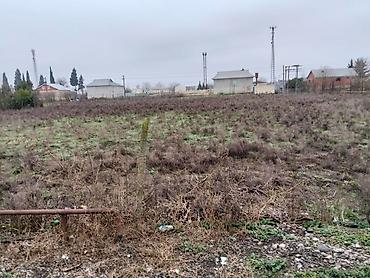 Torpaq sahələrinin satışı: 35 sot, Tikinti, Mülkiyyətçi — 12