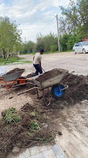 скарификатор: Сеем газон Автополив по ключ - Проектирование озеленения участков — 6