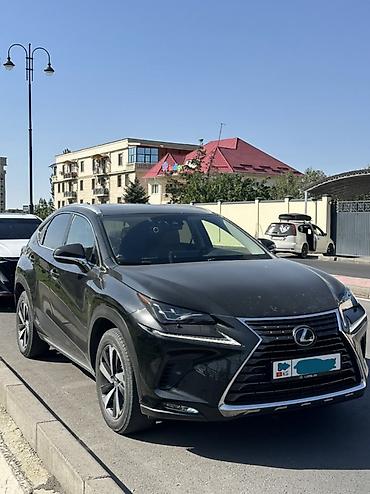 Lexus NX: 2019 г., Автомат, Гибрид, Кроссовер