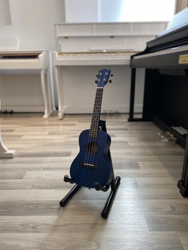 elektron gitara satisi: Ukulele, Yeni