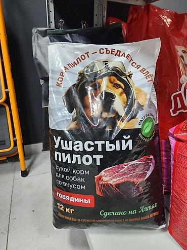 корм для собак: Ушастый Пилот — сухой корм для собак со вкусом говядины ‼️155сом за — 1