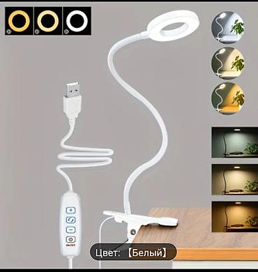 study lamp: Гибкая светодиодная лампа с прищепкой и USB-питанием - Тип — 1