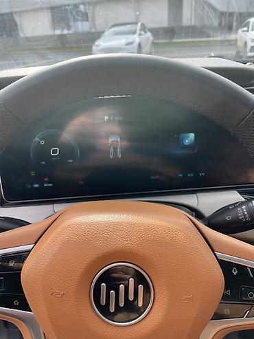 Weltmeister: Weltmeister W6, 2021 г., 80000 км, Передний, В наличии — 15