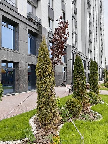 квартиры роял: 1 комната, 49 м², Советская/Скрябина Элитка, 13 этаж, ПСО (под самоотделку) — 1