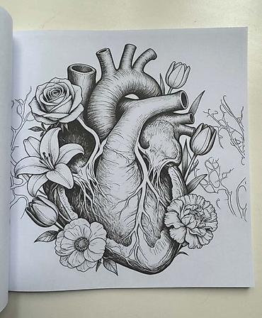 тексты: Анатомическая раскраска Human Anatomy Coloring Book для взрослых😻🫀 — 3