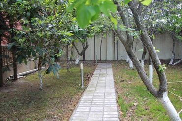 Bağ evlərinin satışı: Novxanıda əsas yoldan təxminən 60 metr məsafədə 17 sot torpaq — 17