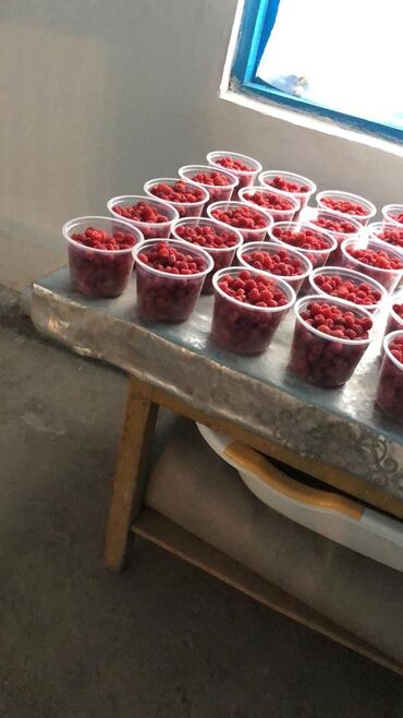 Продажа домов: Дача, 55 м², 5 комнат, Старый ремонт — 12