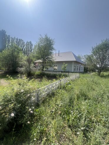 Другая коммерческая недвижимость: Продается зона отдыха находится в Панфиловском районе, урочище — 20