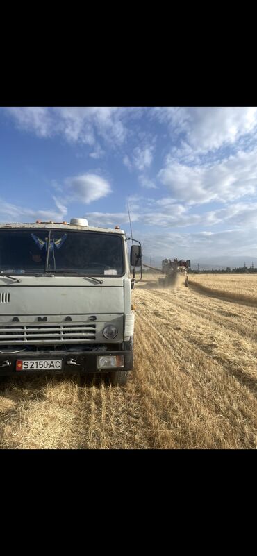 Грузовики: Грузовик, Камаз, Стандарт, Б/у — 11