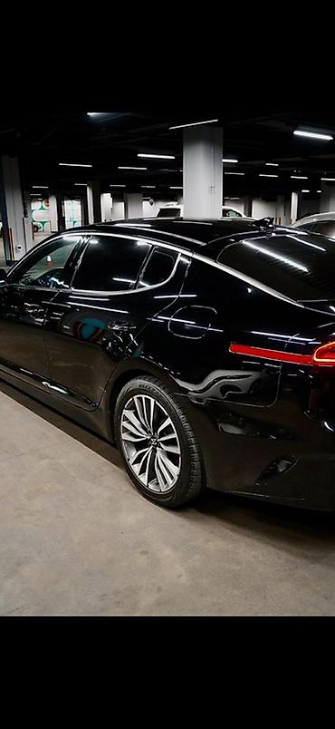 mark х: Kia Stinger: 2019 г., 2 л, Типтроник, Бензин, Лифтбек — 3
