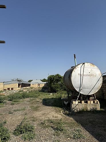 Torpaq sahələrinin satışı: 32 sot, Kənd təsərrüfatı, Barter mümkündür, Kupça (Çıxarış) — 4
