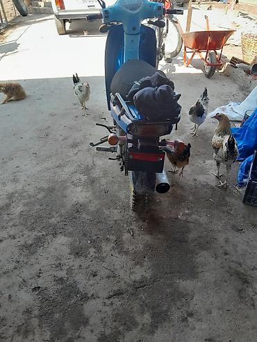 moto bot: Moped/skuter – şəhər içi rahat gediş üçün prak Xüsusiyyətlər: - — 4