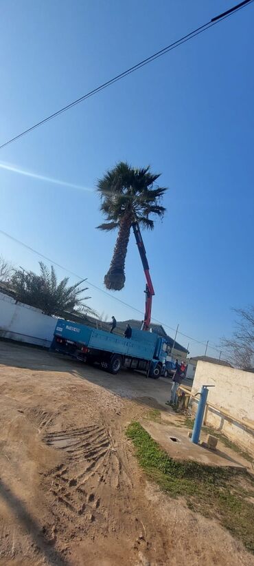 Yük daşımaları: Yeni̇ evim-yük dasima və söküntü xidmətləri! Sürətli, etibarlı və -da lalafo.az — 3 Yük daşımaları: Yeni̇ evim-yük dasima və söküntü xidmətləri! Sürətli, etibarlı və — 3
