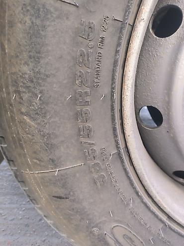 Прицепы и полуприцепы: Прицеп, Schmitz Cargobull, Тентованный, 8 т, Б/у — 2