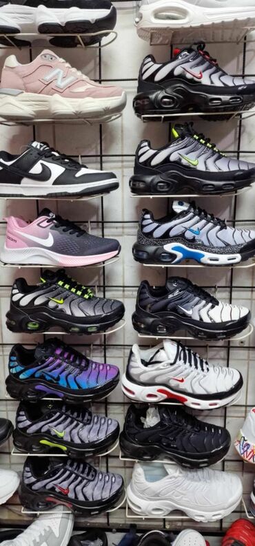 converse bele patike: The North Face