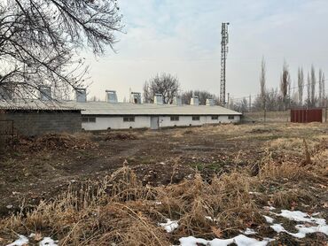 Продажа домов: Времянка, 400 м², 2 комнаты, Собственник — 18