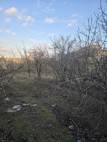 Torpaq sahələrinin satışı: 16 sot, Tikinti — 5
