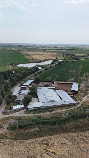 дом из контенера: Сатам Кой короо, 60 соток, Иштеп жаткан, Жабдуулары менен, Ысык суу, Скважина, Жылытуу