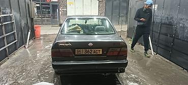 primera p10: Nissan Primera: 1995 г., Седан — 3