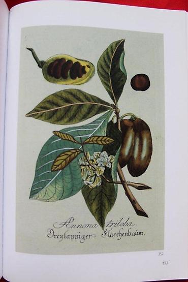 Knjige: DOROTHEUM, BUCHER UND DEKORATIVE GRAPHIK, 2004 | Aukcioni katalog — 3