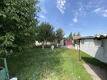киевская 49: Продается Дом не далеко от центра Беловодска, участок 14 сотокможно — 5