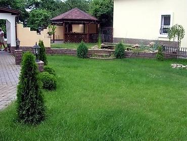 Газон: Сеем газон, Поссев газон, Газон себебиз 🌱 под ключ 🏡по городу бишкек — 11