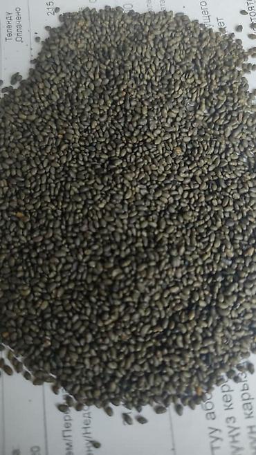 Другие зерновые культуры: Бедэ урук сатылат,Жогорку сорт,тап — 16