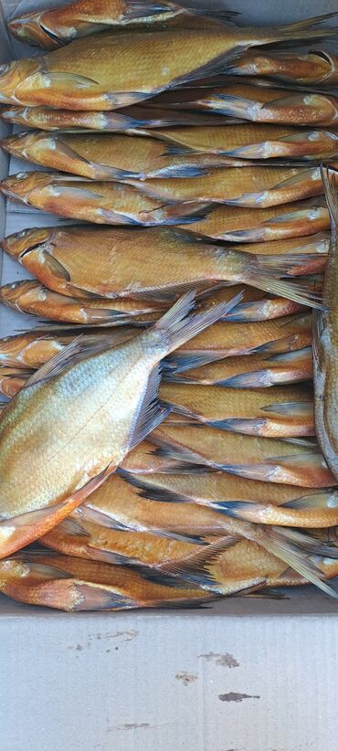 живая рыба сазан: Лещ копчёный и вяленый среднего посола.не сырой,натурального