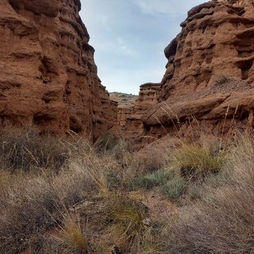 Трансфер, пассажирские перевозки: По региону, Аэропорт, По городу Такси, легковое авто | 4 мест — 18