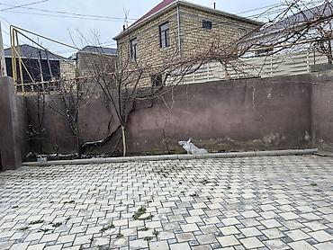 Uzunmüddətli kirayə mənzillər: Masazırda 2-çi ARAZ marketın, MEHLİ YASAYIŞ komplektın yanıbda — 2