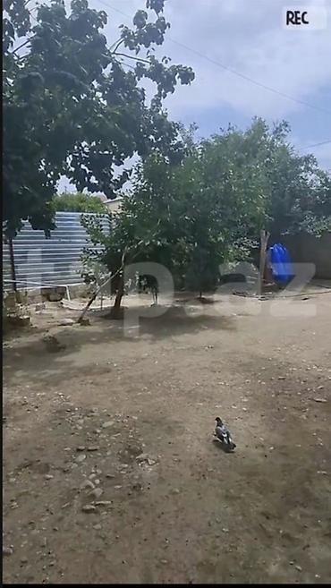 2 otaqli evler yeni tikili: 4 otaqlı, 160 kv. m — 3