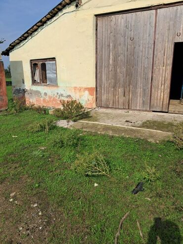 Torpaq sahələrinin satışı: Kənd təsərrüfatı -da lalafo.az — 15 Torpaq sahələrinin satışı: Kənd təsərrüfatı — 15