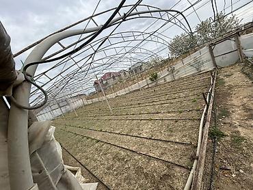 dam ortukleri: İstixana kompleksi – dam örtüyü karkaslı, tam işlək əkin sahələri və — 3