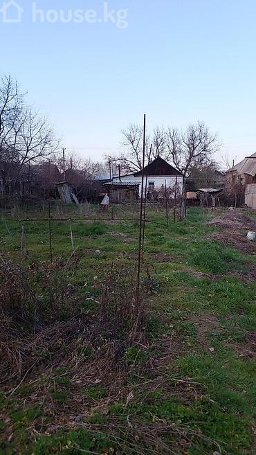 территория: Продаю. земельный участок 12 соток село восток, на территории есть — 1