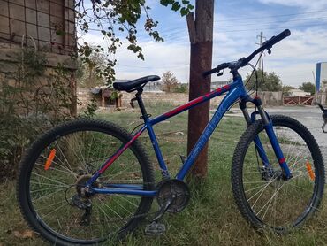 беговая дорожка в кредит: İşlənmiş Dağ velosipedi Stark, 29", sürətlərin sayı: 7, Ünvandan götürmə