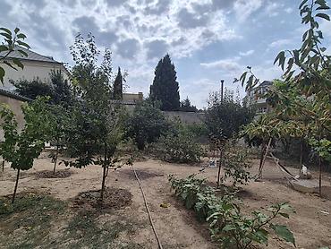 luks home: 7 otaqlı, 420 kv. m, Kredit yoxdur, Orta təmir — 6