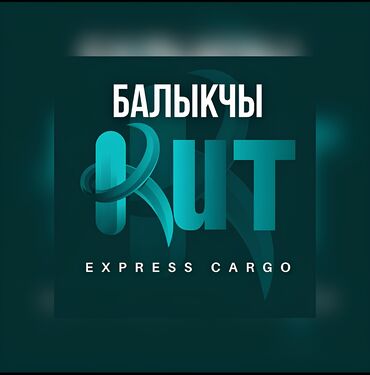 портер токмок: Kut express cargo. Доставка товаров из Китая. Кытайдан жүк ташып
