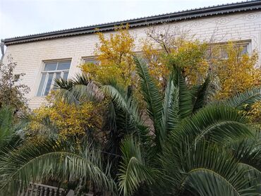 Həyət evləri və villaların satışı: 4 otaqlı, 400 kv. m, Kredit yoxdur, Orta təmir — 18