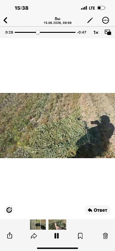 Корма для с/х животных: Сено в тюках - Тип: луговое сено, прессованные прямоугольные тюки. - — 4