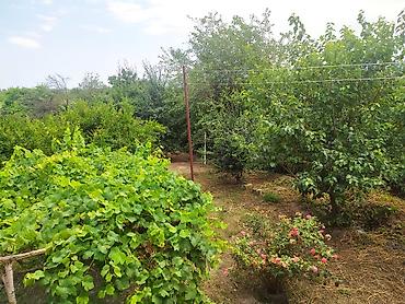 ucuz evler gence: Xaçmaz, 240 kv. m, 8 otaq, Hovuzsuz, Kombi, Qaz, İşıq — 3