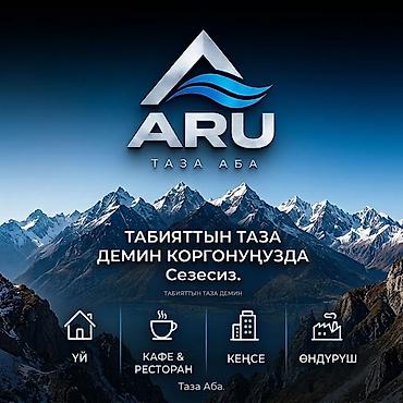 ARU — вентиляция и кондиционирование Чистый воздух и комфорт в каждом