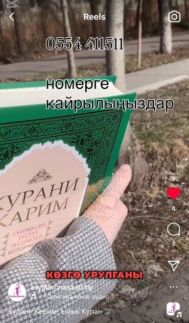 Другое: Книга Куран пепеводом на кырг