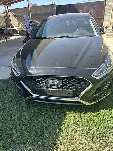 sonata: Hyundai Sonata: 2021 г., 2 л, Типтроник, Газ, Седан — 1