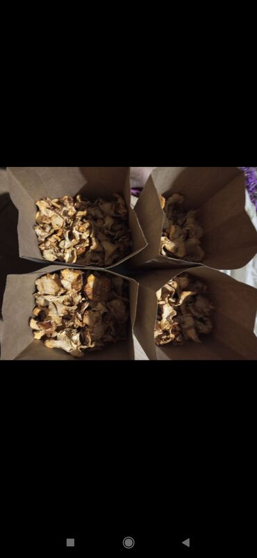 купить мясо домашних кур: Грибы Самовывоз, Платная доставка