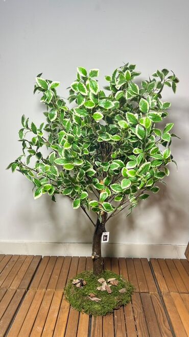 Süni güllər: Dekorativ süni ağaclar dəsti - Model 1: Varlıqlı yarpaqlı dekorativ — 1