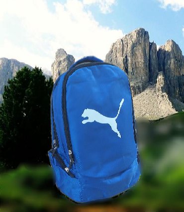 sunka: Çanta "Puma" Her kese salamlarReal wekilleridirBütün detalları ile
