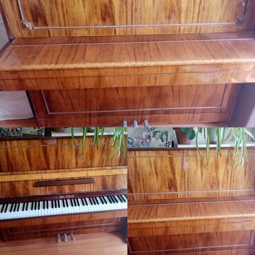Klavişli alətlər: Piano, Belarus, Akustik, İşlənmiş, Ünvandan götürmə