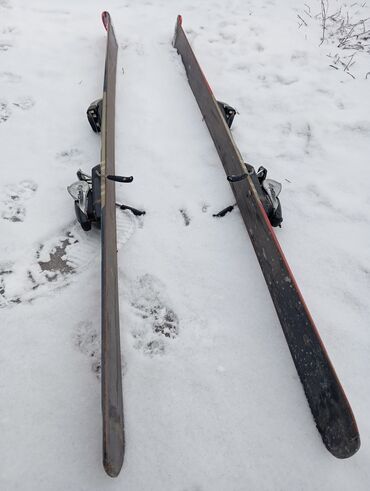 Лыжи: Продаю горные лыжи с креплениями знаменитой марки Elan — 4